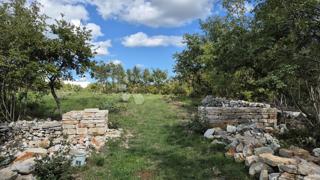 Land - Sale - ISTARSKA - VODNJAN - VODNJAN