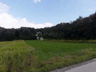 Land - Sale - ZAGREBAČKA - SVETI IVAN ZELINA - DONJA DRENOVA