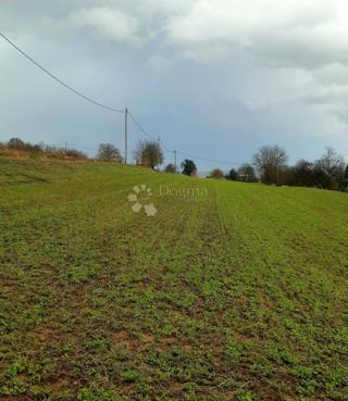 Zemljište - Prodaja - KARLOVAČKA - OGULIN - OGULIN