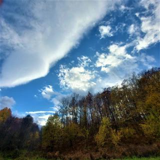 Zemljište - Prodaja - LIČKO-SENJSKA - DONJI LAPAC - KESTENOVAC