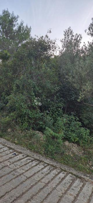 Zemljište - Prodaja - ZADARSKA - UGLJAN - KALI