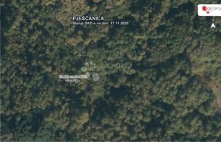 Land - Sale - SISAČKO-MOSLAVAČKA - GVOZD - PJEŠČANICA