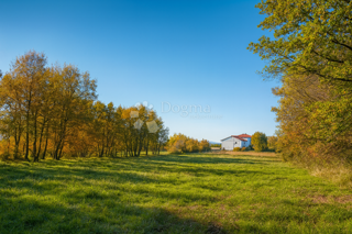 Zemljište - Prodaja - ISTARSKA - TINJAN - KRINGA