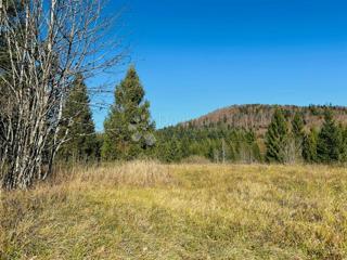 Grundstück - Verkauf - PRIMORSKO-GORANSKA - RAVNA GORA - STARA SUŠICA
