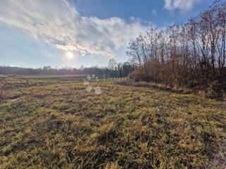 Land - Sale - ISTARSKA - ŽMINJ - ŽMINJ