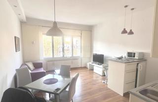 Flat - Rent - GRAD ZAGREB - ZAGREB - DONJI GRAD