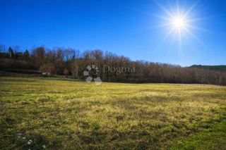 Land - Sale - ISTARSKA - PAZIN - PAZIN