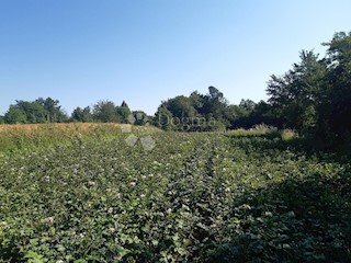 Land - Sale - KARLOVAČKA - OGULIN - OGULIN