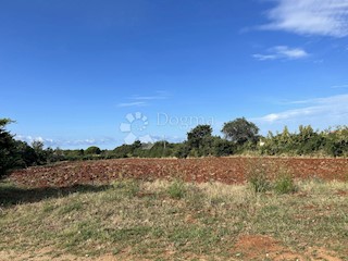 Land - Sale - ISTARSKA - MARČANA - LOBORIKA