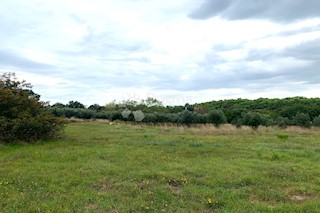 Land - Sale - ISTARSKA - PULA - PULA