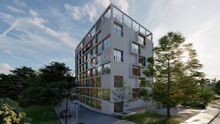 Flat - Sale - ZADARSKA - ZADAR - ZADAR