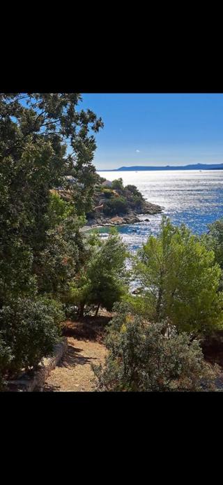 Grundstück - Verkauf - SPLITSKO-DALMATINSKA - BRAČ - DRAČEVICA