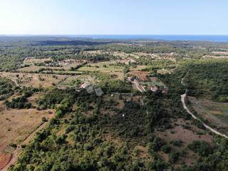 Land - Sale - ISTARSKA - ROVINJ - ROVINJ