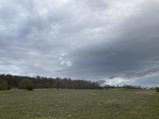 Land - Sale - ISTARSKA - BUJE - BUJE