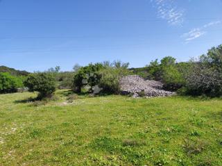 Land - Sale - SPLITSKO-DALMATINSKA - BRAČ - SELCA