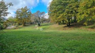 Land - Sale - ISTARSKA - SVETVINČENAT - REŽANCI
