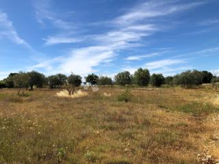 Land - Sale - ISTARSKA - UMAG - UMAG