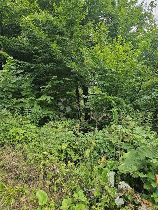 Land - Sale - PRIMORSKO-GORANSKA - VRBOVSKO - JABLAN