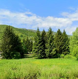 Land - Sale - PRIMORSKO-GORANSKA - BROD MORAVICE - BROD MORAVICE