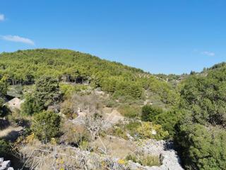 Zemljište - Prodaja - DUBROVAČKO-NERETVANSKA - KORČULA - POTIRNA