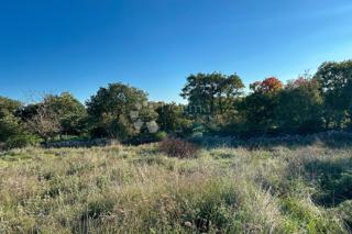 Grundstück - Verkauf - ISTARSKA - BALE - BALE