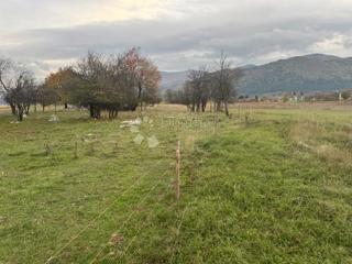 Land - Sale - LIČKO-SENJSKA - OTOČAC - ČOVIĆI