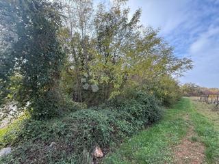 Grundstück - Verkauf - ISTARSKA - POREČ - POREČ