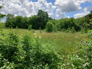 Grundstück - Verkauf - ISTARSKA - MARČANA - KRNICA