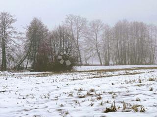 Land - Sale - MEĐIMURSKA - BELICA - BELICA