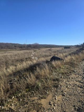 Land - Sale - ZADARSKA - BENKOVAC - BENKOVAC
