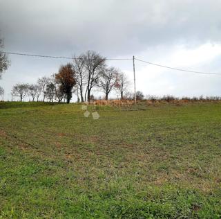 Land - Sale - KARLOVAČKA - OGULIN - OGULIN