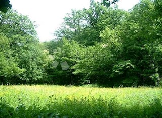 House - Sale - KARLOVAČKA - OGULIN - OGULIN