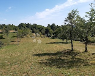 Land - Sale - KARLOVAČKA - OGULIN - OGULIN