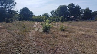 Land - Sale - ISTARSKA - VODNJAN - PEROJ