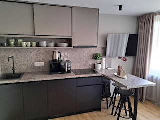Flat - Rent - PRIMORSKO-GORANSKA - RIJEKA - RIJEKA