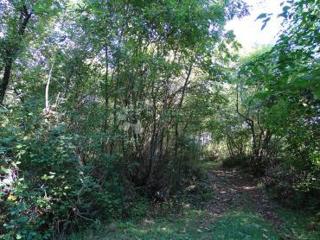 Land - Sale - PRIMORSKO-GORANSKA - OPATIJA - VEPRINAC