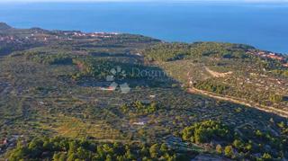 Zemljište - Prodaja - SPLITSKO-DALMATINSKA - BRAČ - SUPETAR