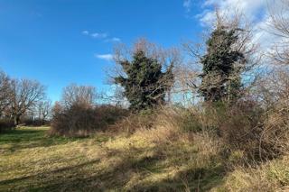Land - Sale - ISTARSKA - GROŽNJAN - GROŽNJAN