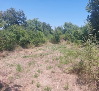 Land - Sale - ISTARSKA - SVETVINČENAT - JURŠIĆI