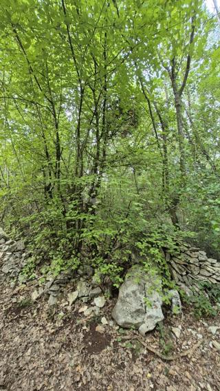 Grundstück - Verkauf - ISTARSKA - MARČANA - RAKALJ