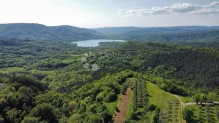 Grundstück - Verkauf - ISTARSKA - CEROVLJE - GRIMALDA