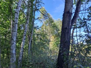 Land - Sale - SISAČKO-MOSLAVAČKA - GVOZD - BLATUŠA