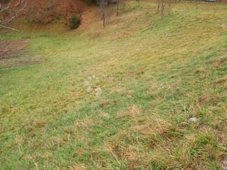 Land - Sale - PRIMORSKO-GORANSKA - RAVNA GORA - STARI LAZ