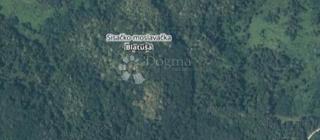 Land - Sale - SISAČKO-MOSLAVAČKA - GVOZD - BLATUŠA