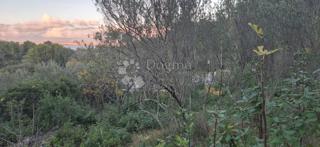 Zemljište - Prodaja - ZADARSKA - UGLJAN - KALI