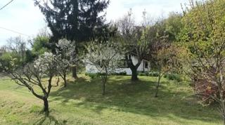 Kuća - Prodaja - OSJEČKO-BARANJSKA - DRAŽ - BATINA