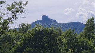 Land - Sale - KARLOVAČKA - OGULIN - OGULIN