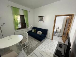 Flat - Rent - PRIMORSKO-GORANSKA - CRIKVENICA - DRAMALJ