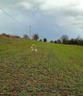 Grundstück - Verkauf - KARLOVAČKA - OGULIN - OGULIN