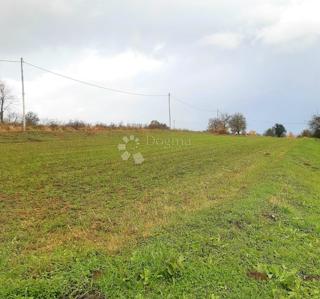 Land - Sale - KARLOVAČKA - OGULIN - OGULIN